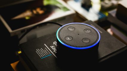 The voice-gate that protects your voice